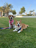 Load image into Gallery viewer, Bundle | Petal Me Pink | Dog Harness + Leash + Poop Bag
