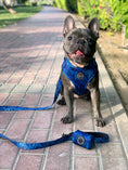 Load image into Gallery viewer, Dog Harness | Ocean Palms