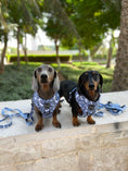 Load image into Gallery viewer, Bundle | Santorini | Dog Harness + Leash + Poop Bag