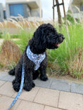 Load image into Gallery viewer, Bundle | Santorini | Dog Harness + Leash + Poop Bag