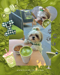 Load image into Gallery viewer, Blueberry Muttcha® - Doggie Blueberry Matcha Latte 🫐