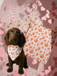 Load image into Gallery viewer, Beary Loved – Valentine’s Day Pup Scarf / Bandana | Teddy Bear Dog Scarf | Luxury Valentine Pet Accessory