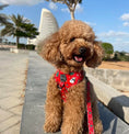Load image into Gallery viewer, Bundle 1 | Happy Pawlidays | Dog Harness + Leash + Poop Bag