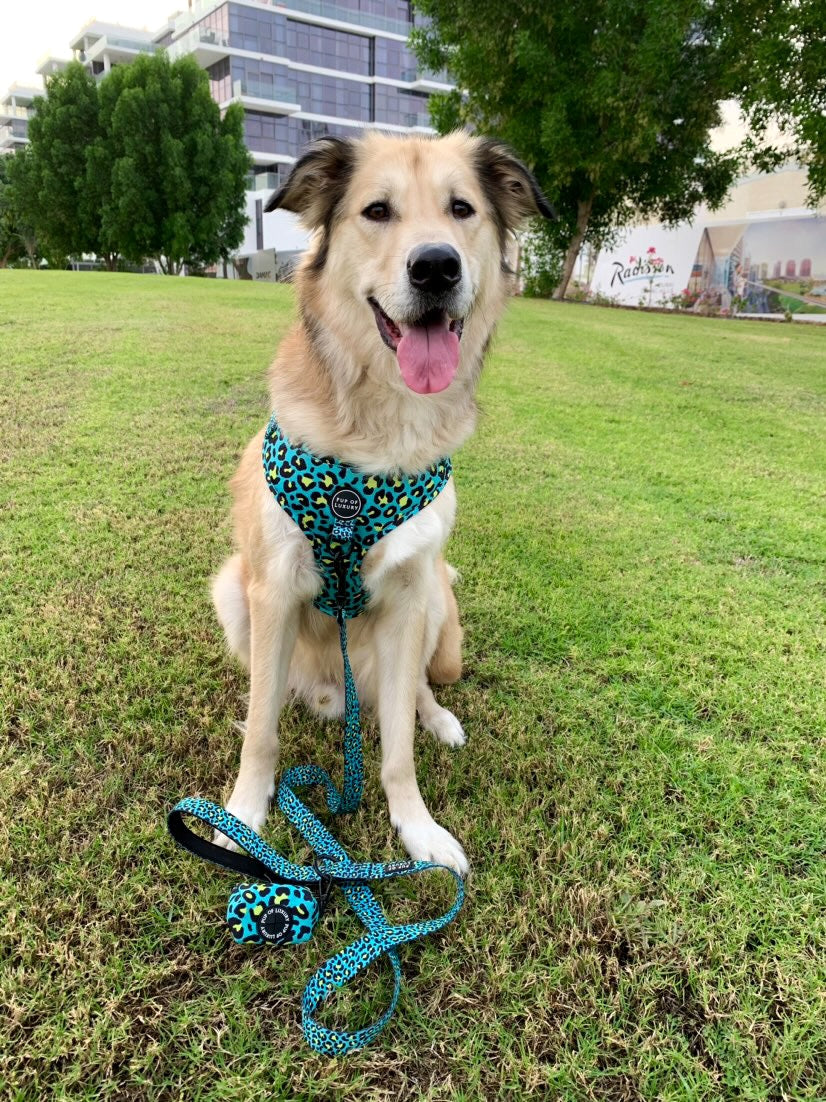Bundle | Spot Of Luxury Green| Dog Harness + Leash + Poop Bag