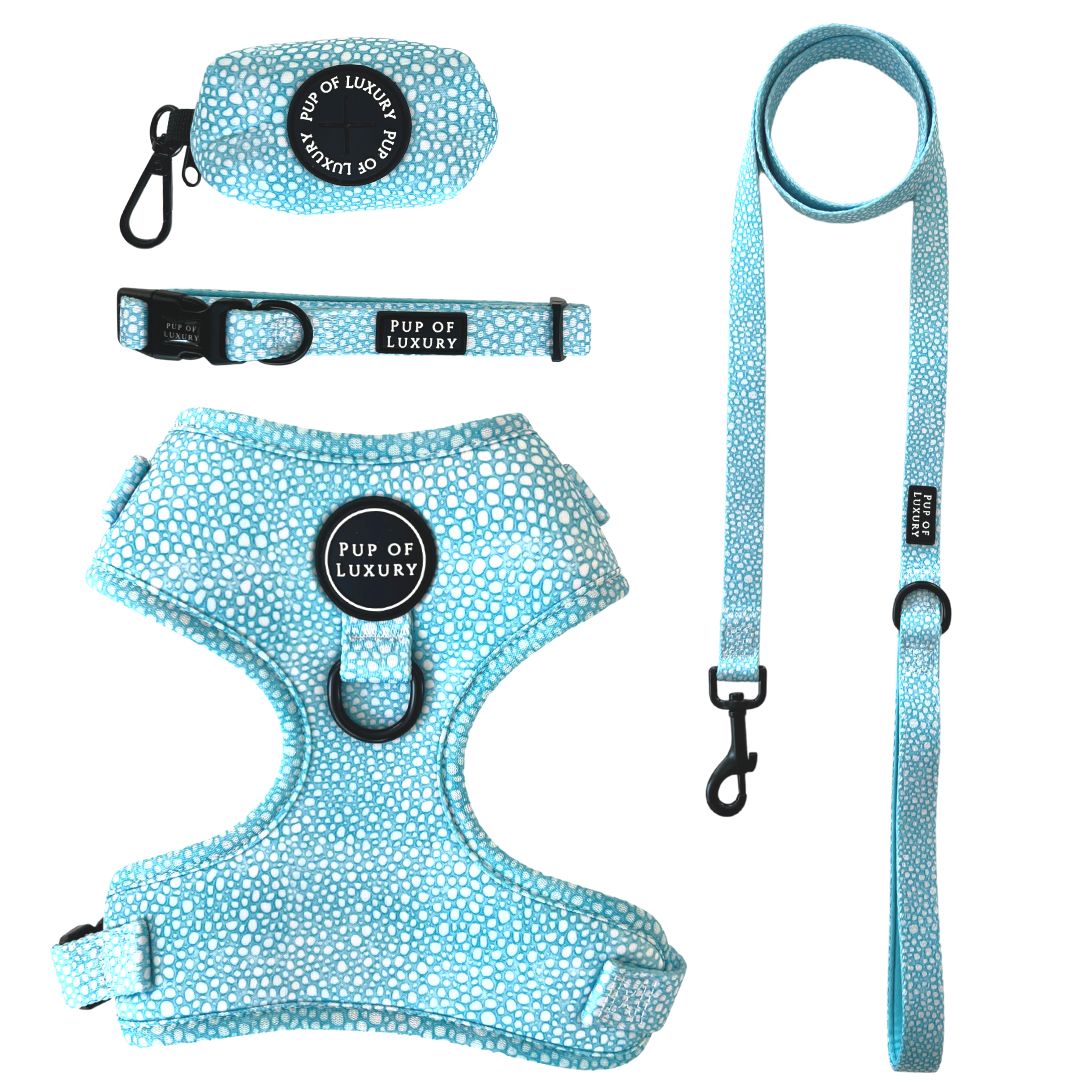 Leash | Aquapup