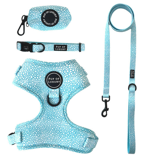 Leash | Aquapup