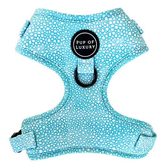 Dog Harness | Aquapup
