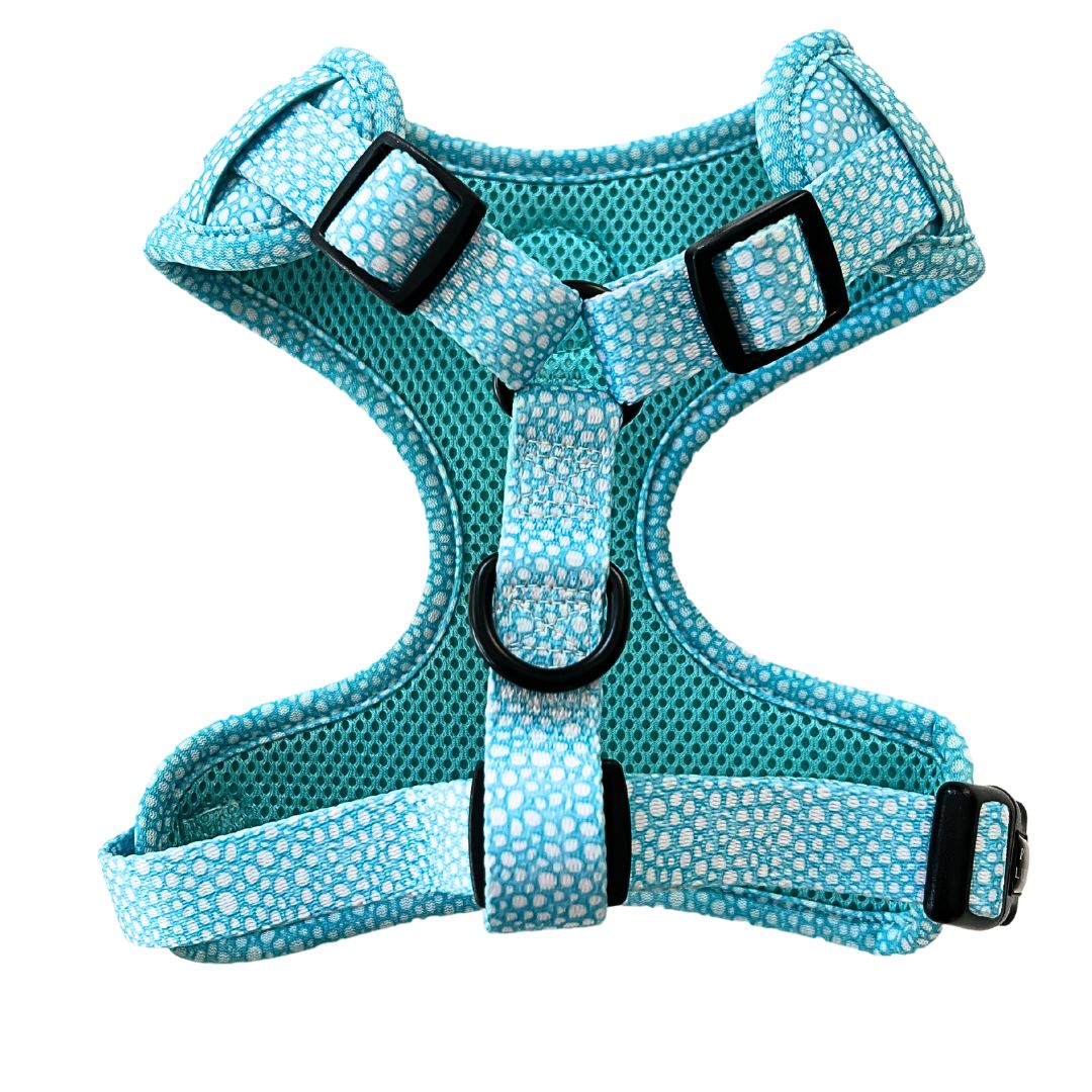 Dog Harness | Aquapup
