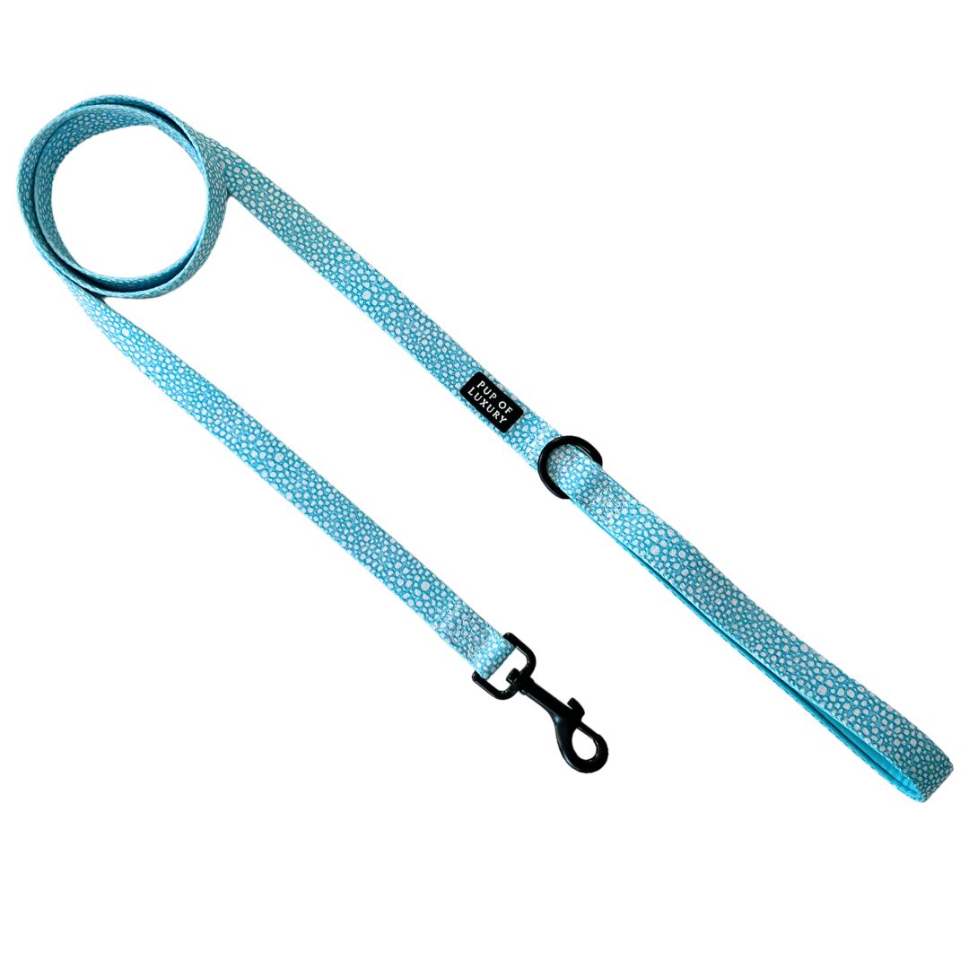 Leash | Aquapup
