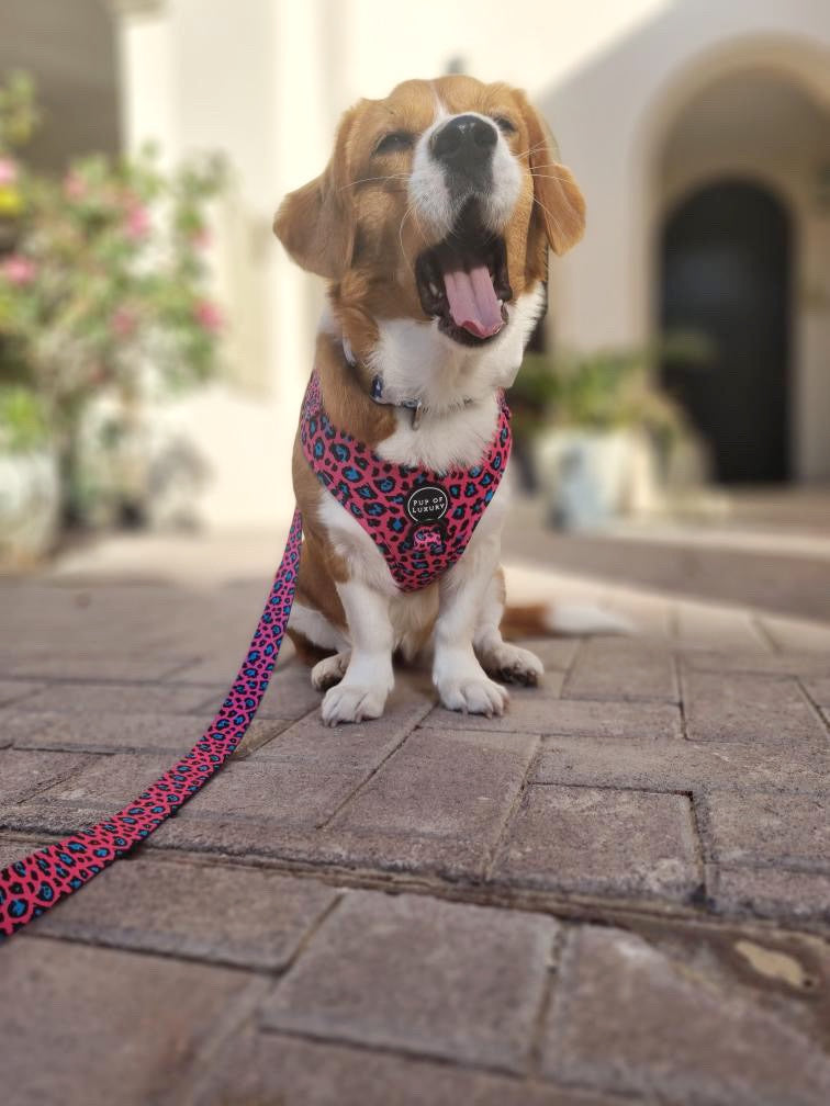 Bundle | Spot Of Luxury Pink | Dog Harness + Leash + Poop Bag