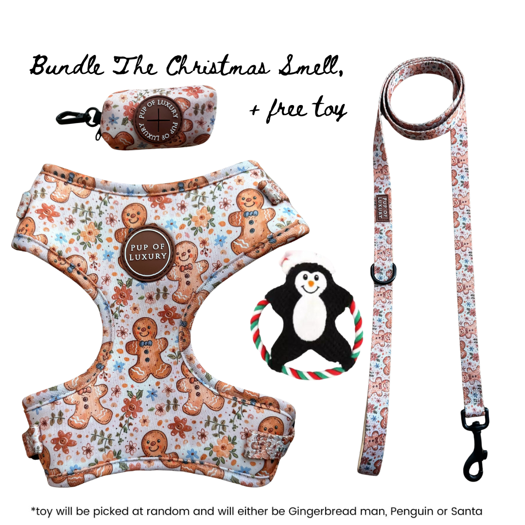 Bundle | The Christmas Smell | Dog Harness + Leash + Poop Bag 🤎