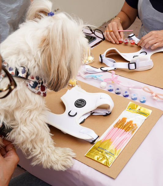 Paint Your Harness