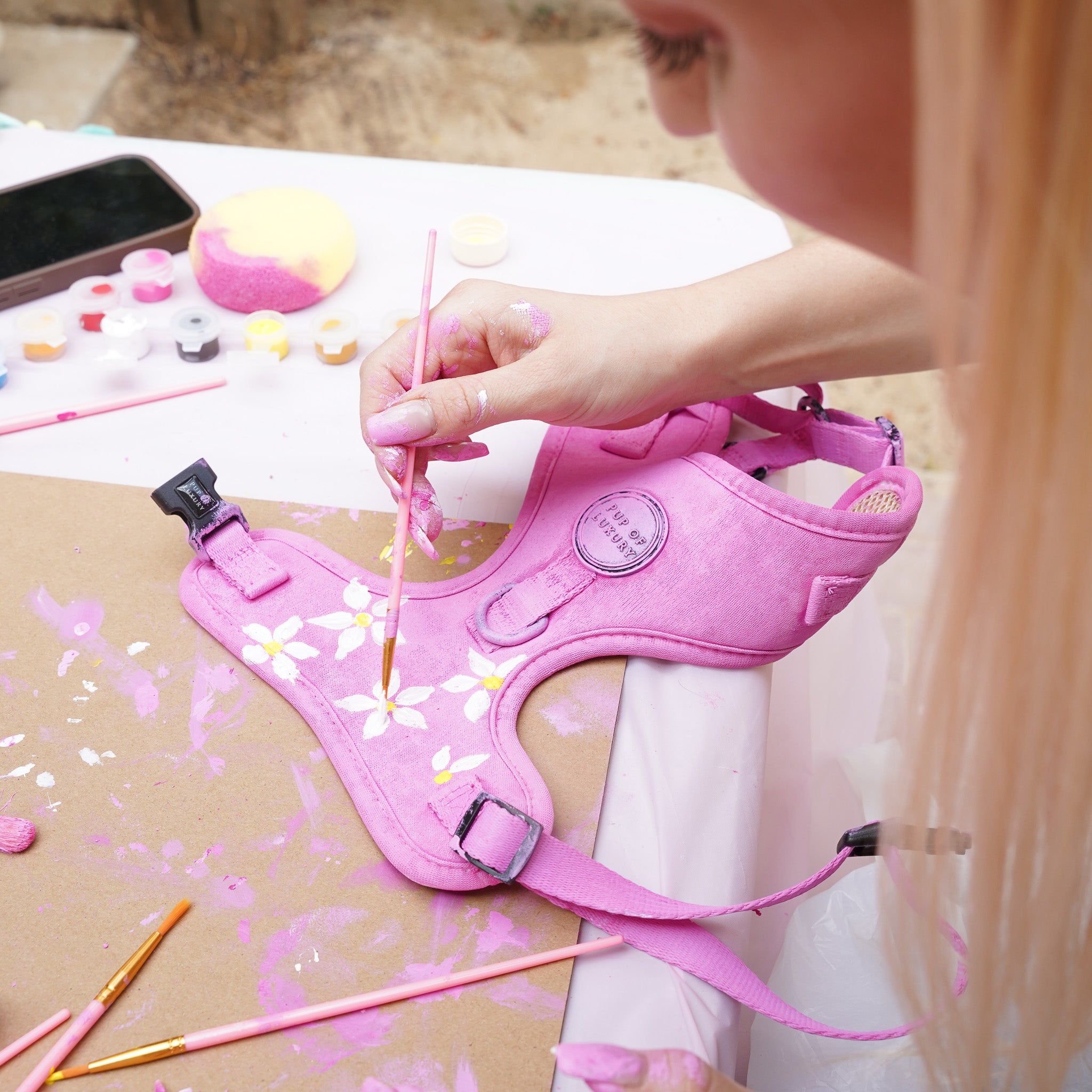 Paint Your Harness