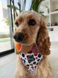Load image into Gallery viewer, Bundle | Splash Of Luxury | Dog Harness + Leash + Poop Bag
