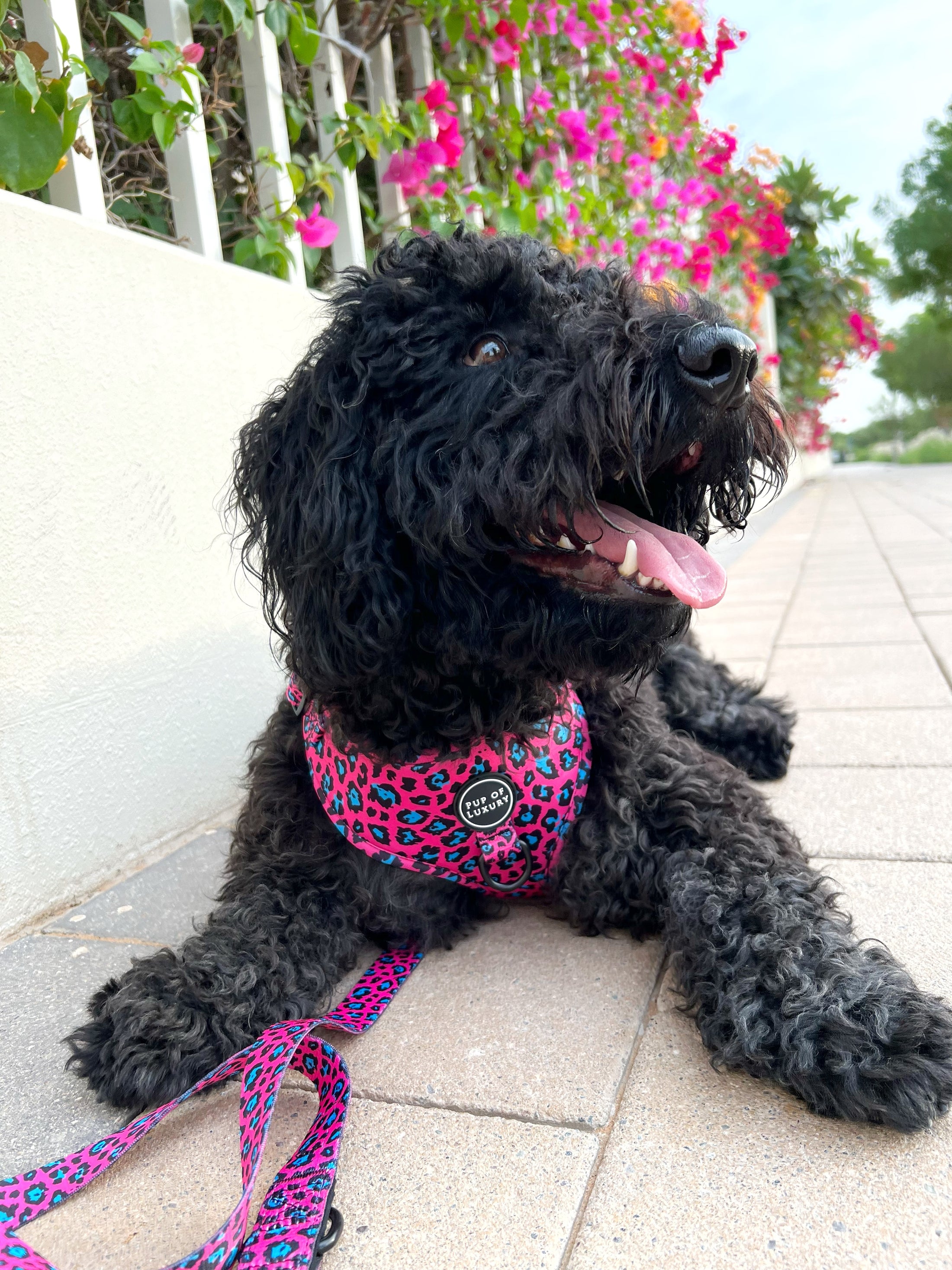 Bundle | Spot Of Luxury Pink | Dog Harness + Leash + Poop Bag