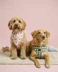 Load image into Gallery viewer, Beary Loved – Valentine’s Day Pup Scarf / Bandana | Teddy Bear Dog Scarf | Luxury Valentine Pet Accessory
