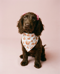 Load image into Gallery viewer, Beary Loved – Valentine’s Day Pup Scarf / Bandana | Teddy Bear Dog Scarf | Luxury Valentine Pet Accessory

