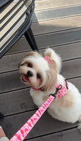 Load image into Gallery viewer, Petal Me Pink - Collar
