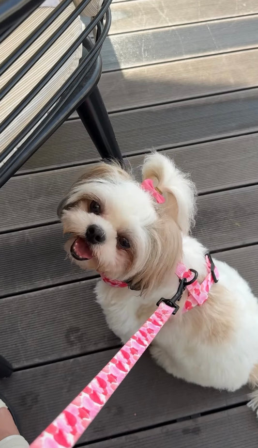 Petal Me Pink - Collar