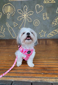 Load image into Gallery viewer, Petal Me Pink - Collar

