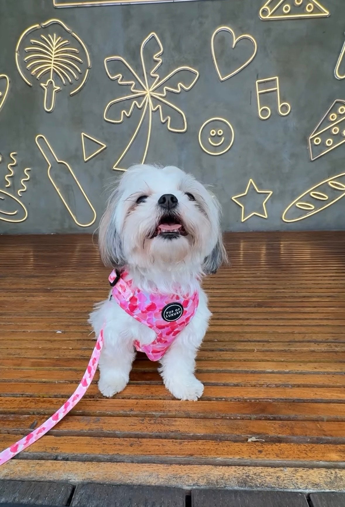 Petal Me Pink - Collar