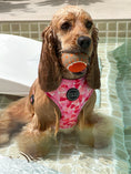 Load image into Gallery viewer, Dog Harness | Petal Me Pink

