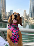Load image into Gallery viewer, Dog Harness | Spot Of Luxury - Pink
