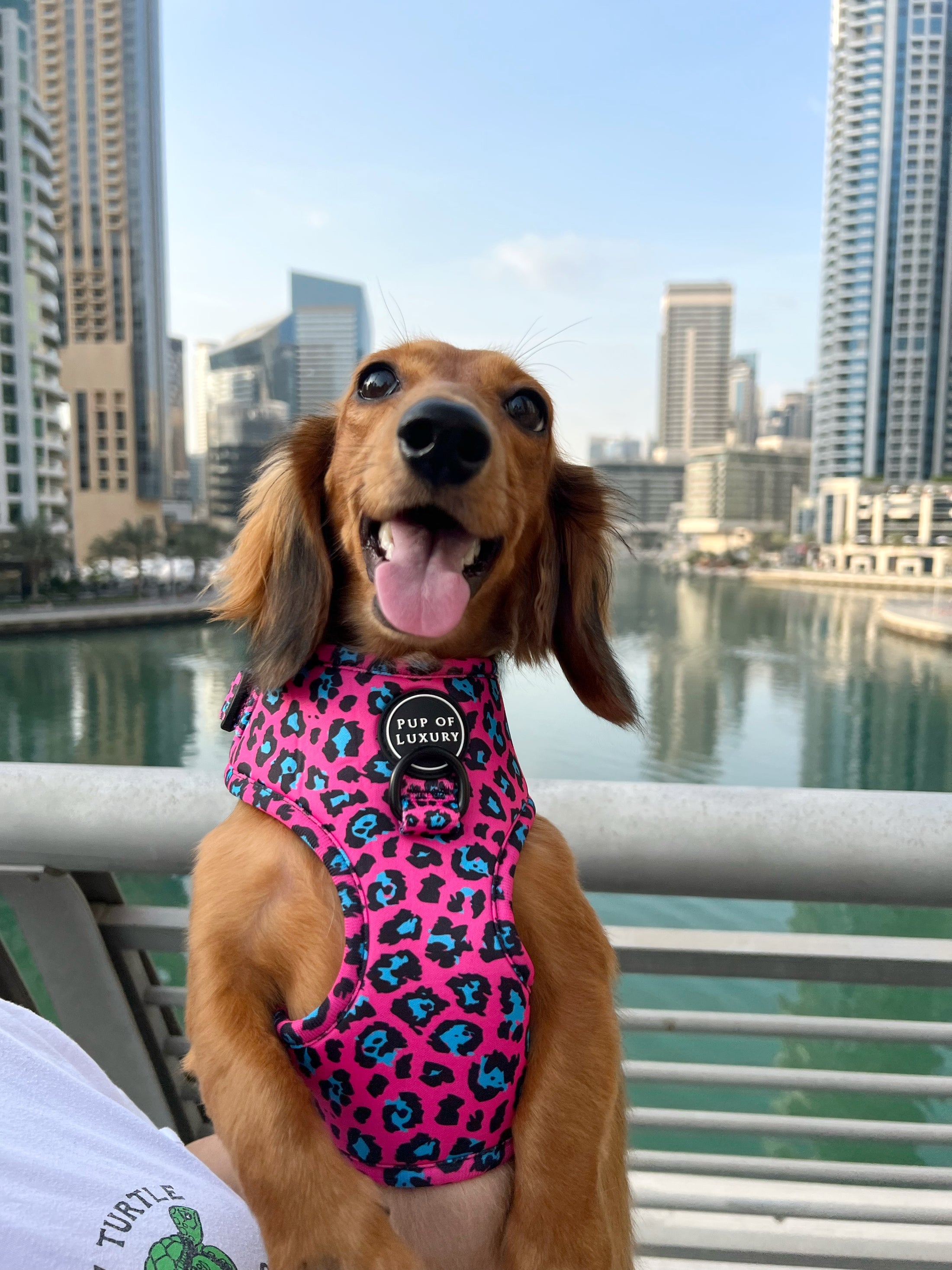 Dog Harness | Spot Of Luxury - Pink