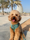 Load image into Gallery viewer, Dog Harness | Spot Of Luxury - Green
