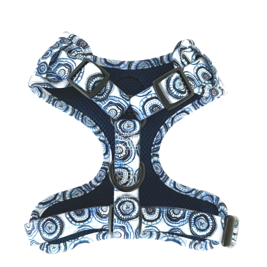 Dog Harness | Santorini