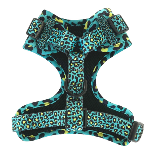 Dog Harness | Spot Of Luxury - Green