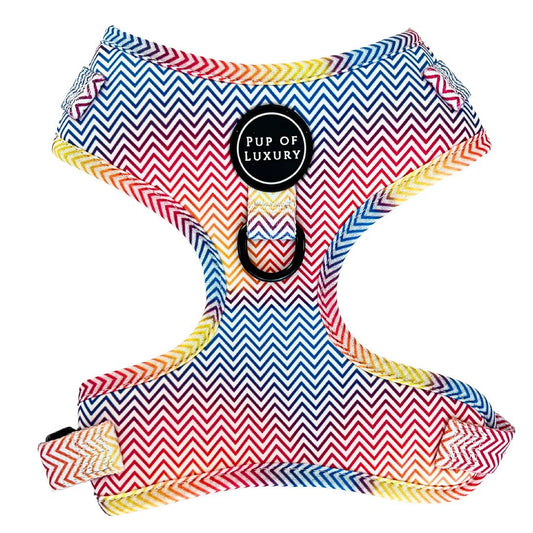 Dog Harness | Summer Love