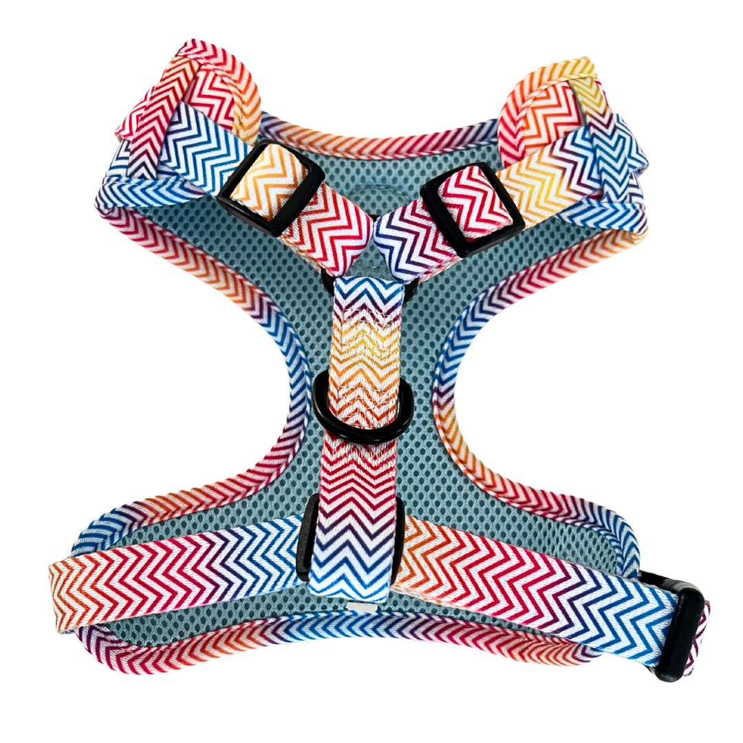 Dog Harness | Summer Love