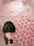 Load image into Gallery viewer, Pup of My Heart – Valentine’s Day Pup Scarf / Bandana | Candy Heart Dog Scarf | Luxury Valentine Pet Accessory
