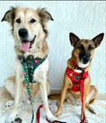 Load image into Gallery viewer, Bundle 2 | Desert Christmas | Dog Harness + Leash
