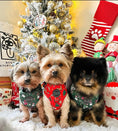 Load image into Gallery viewer, Bundle 2 | Desert Christmas | Dog Harness + Leash

