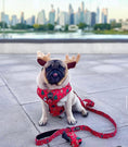 Load image into Gallery viewer, Bundle 1 | Happy Pawlidays | Dog Harness + Leash + Poop Bag
